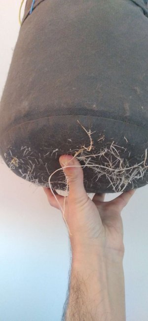 Compress_20220613_211339_9370.jpg Compress_20220613_211339_9370.jpg