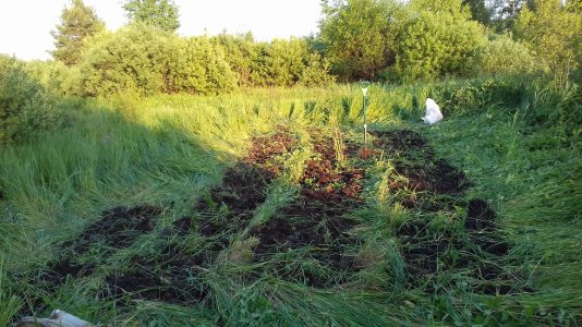 10.06.22(2).jpg 10.06.22(2).jpg