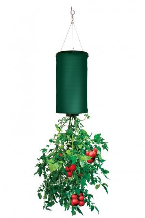 8242683f6115b9f7ede967d11dbb0cc7.jpeg 8242683f6115b9f7ede967d11dbb0cc7.jpeg