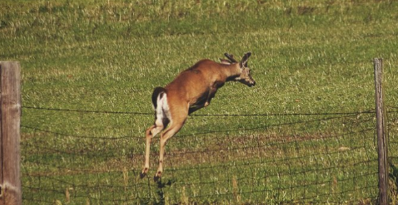 1655377066685.png 1655377066685.png