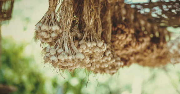 1655377148601.png 1655377148601.png