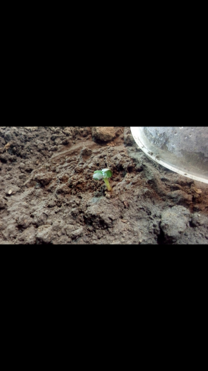 Screenshot_2022-06-16-21-59-41.png Screenshot_2022-06-16-21-59-41.png