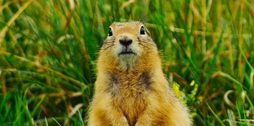 1655417076420.png 1655417076420.png