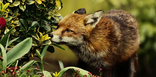 1655417098448.png 1655417098448.png