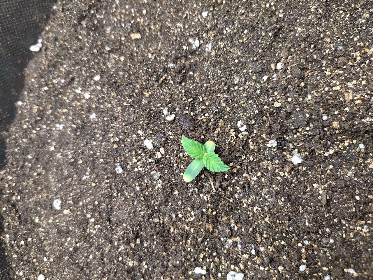 photo_1.jpg photo_1.jpg