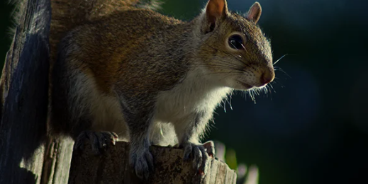 1655417169319.png 1655417169319.png