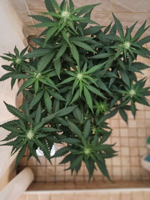 photo_2022-06-17_14-43-40 (2).jpg photo_2022-06-17_14-43-40 (2).jpg