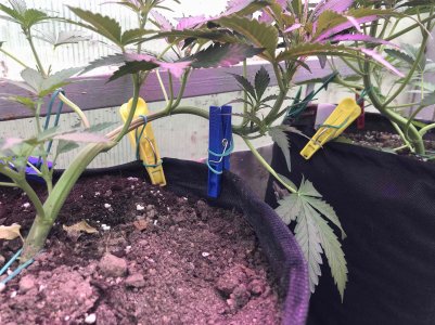 A7F38B7B-3451-4887-807B-9DAEAAA42A1C.jpeg A7F38B7B-3451-4887-807B-9DAEAAA42A1C.jpeg