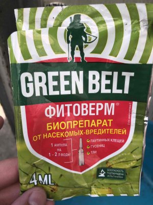 7C8FB1E0-CC6A-4290-B5C4-450D6F257976.jpeg 7C8FB1E0-CC6A-4290-B5C4-450D6F257976.jpeg