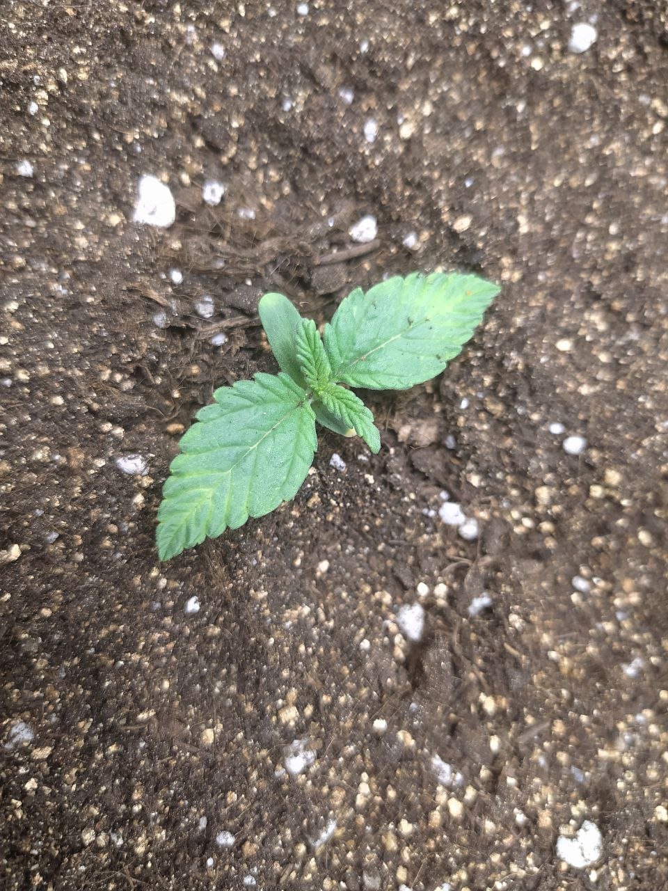 photo5.jpg photo5.jpg