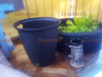 36-wm-81354.80000000098_watermarked.jpg 36-wm-81354.80000000098_watermarked.jpg