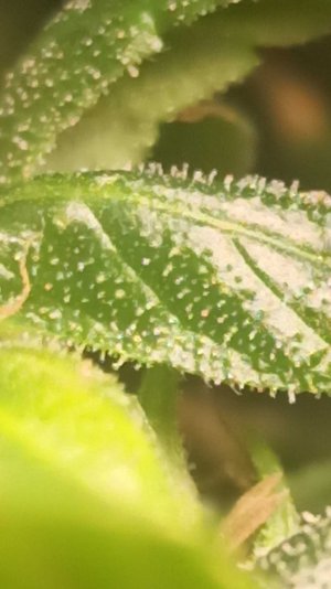 2022-6-22 21-9-22.jpg