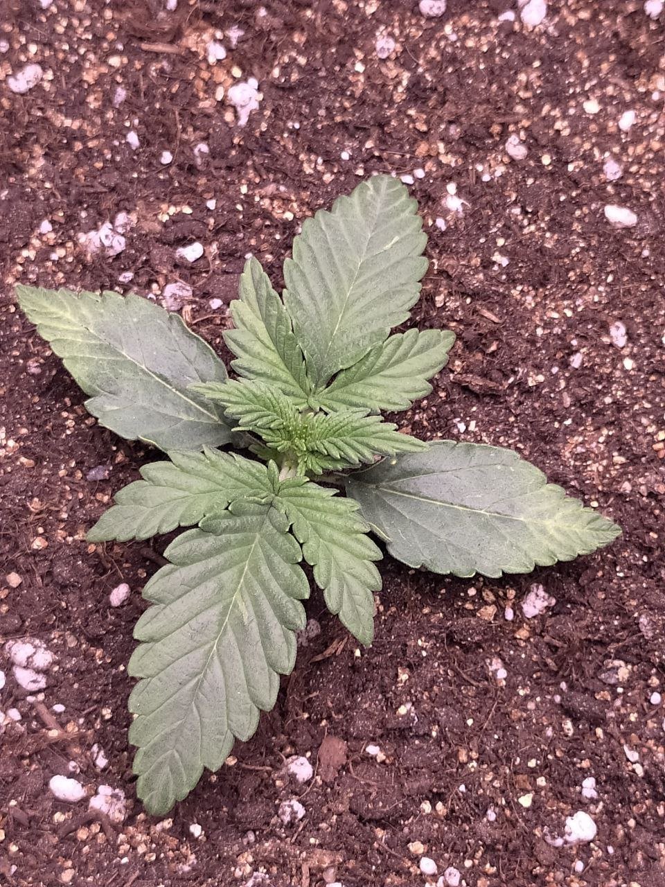 photo — копия.jpg photo — копия.jpg