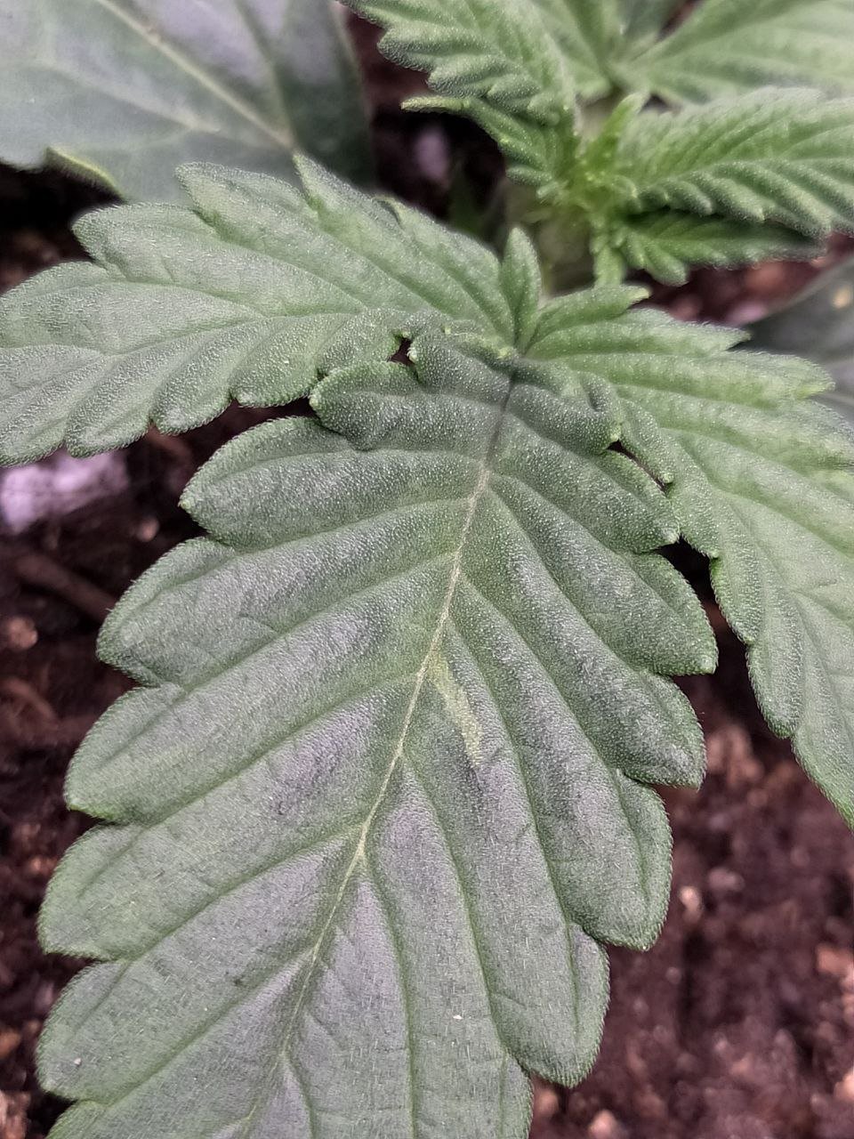 photo3 — копия.jpg photo3 — копия.jpg