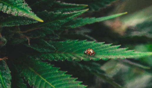 1656101754173.png 1656101754173.png