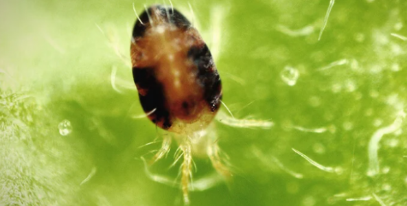 1656101793748.png 1656101793748.png