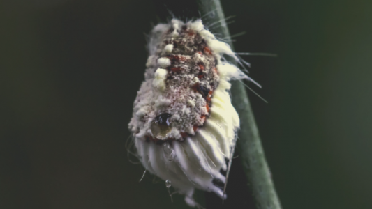 1656101916263.png 1656101916263.png