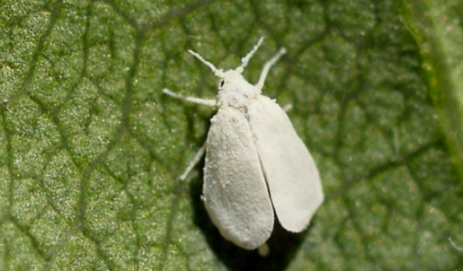 1656101942930.png 1656101942930.png