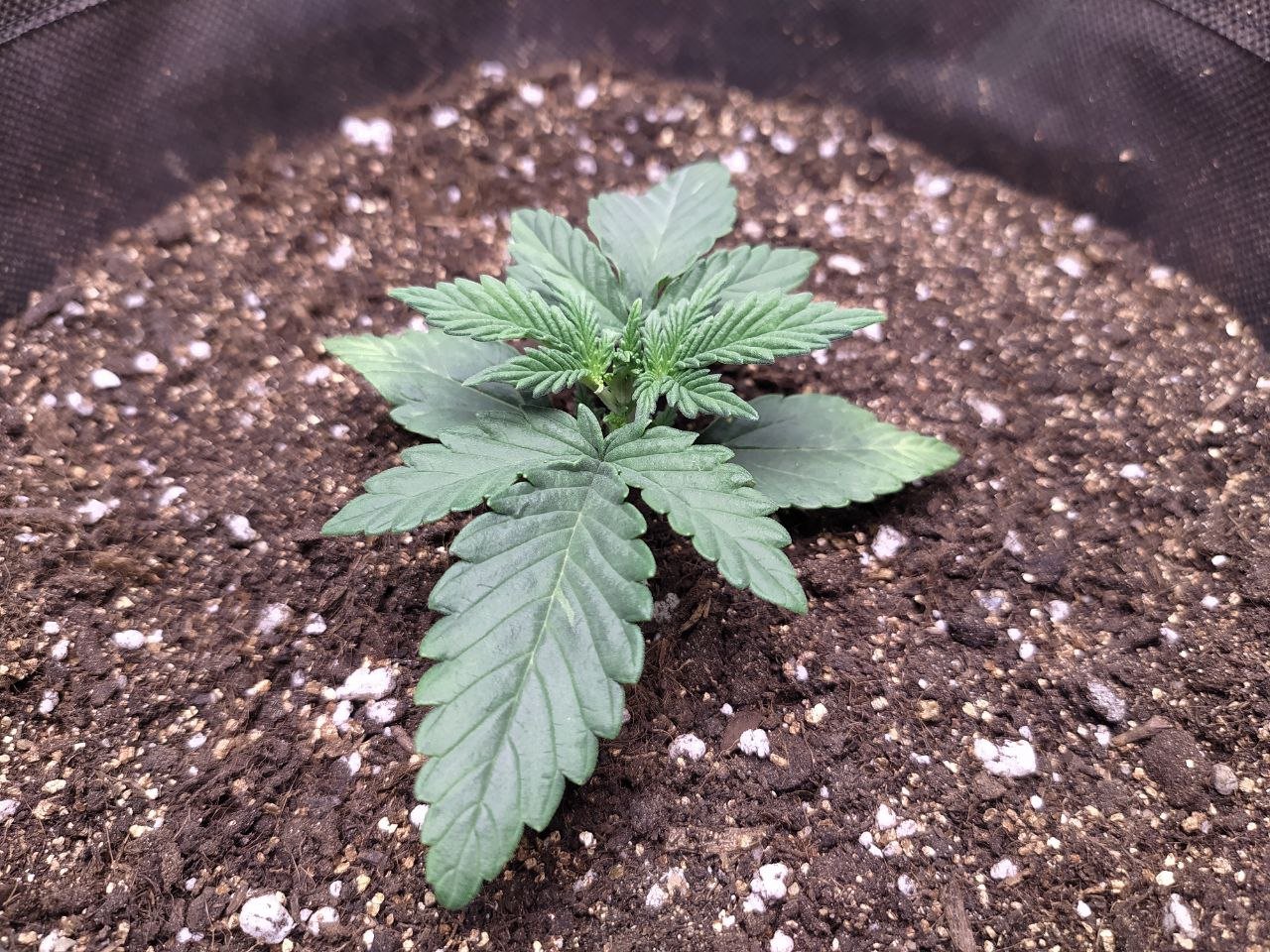 photo3 — копия.jpg photo3 — копия.jpg