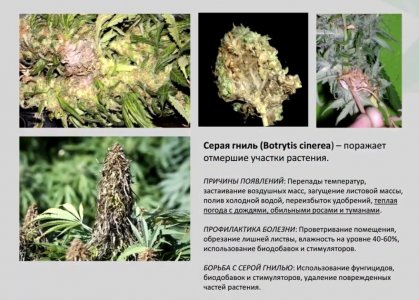 IMG_0600.jpg IMG_0600.jpg