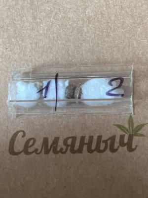 4213AE5D-FB55-4234-8C55-1C8ABA49D399.jpeg 4213AE5D-FB55-4234-8C55-1C8ABA49D399.jpeg