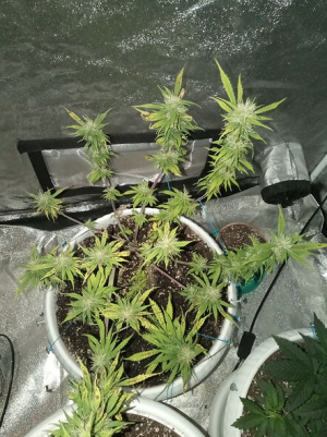 1656244040096.png 1656244040096.png