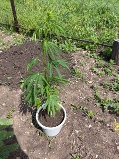 ACD2FC39-09A8-4DFD-82D6-15B7D8324A0C.jpeg ACD2FC39-09A8-4DFD-82D6-15B7D8324A0C.jpeg