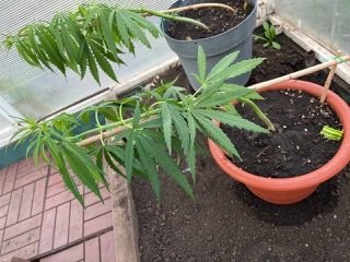 97C4EC4B-9411-45AD-A39A-DC2399369F6C.jpeg 97C4EC4B-9411-45AD-A39A-DC2399369F6C.jpeg