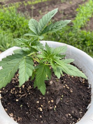 1152B38B-4AF0-4445-BB45-9B1CD4D08087.jpeg 1152B38B-4AF0-4445-BB45-9B1CD4D08087.jpeg