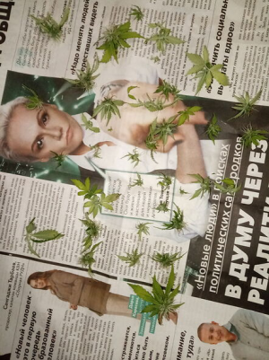 1656253597110.png 1656253597110.png