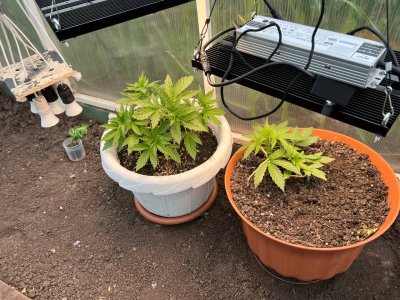 BE0A86BA-1F21-4714-A4F9-111AFB6A8032.jpeg BE0A86BA-1F21-4714-A4F9-111AFB6A8032.jpeg