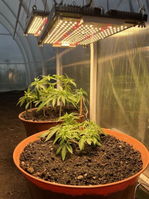 C4B1EF0B-6443-4E00-BCC6-48AE8AAECAE8.jpeg C4B1EF0B-6443-4E00-BCC6-48AE8AAECAE8.jpeg