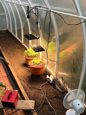 52CFE0A1-E0C1-4489-83AC-007257ABDEEE.jpeg 52CFE0A1-E0C1-4489-83AC-007257ABDEEE.jpeg