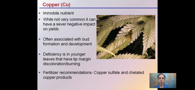 D4AA1394-FF23-4829-8745-8B077E98DA8E.png D4AA1394-FF23-4829-8745-8B077E98DA8E.png