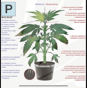 CCB44DD8-24E3-4F66-8DB2-377F06C16F76.jpeg CCB44DD8-24E3-4F66-8DB2-377F06C16F76.jpeg