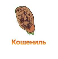 Кошениль – защита конопли от вредителя
