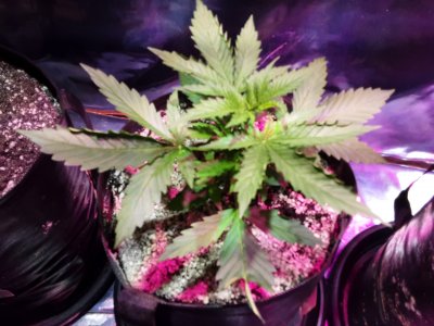 20220629_162022.jpg 20220629_162022.jpg