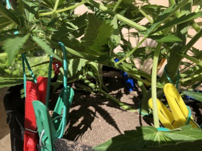 EBBB7AD6-6C39-4415-9F11-4E61C023BF68.jpeg EBBB7AD6-6C39-4415-9F11-4E61C023BF68.jpeg