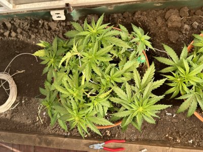 9D5F72FD-D7BE-4D06-B936-5B3DC972C1E0.jpeg 9D5F72FD-D7BE-4D06-B936-5B3DC972C1E0.jpeg