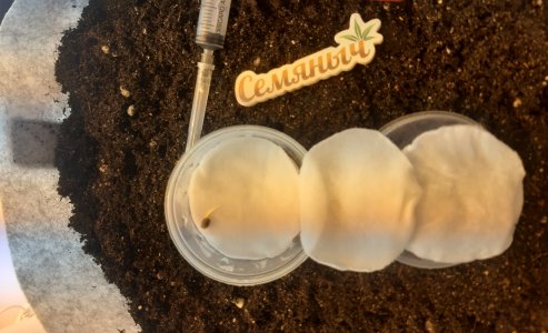 20220630_165554.jpg 20220630_165554.jpg