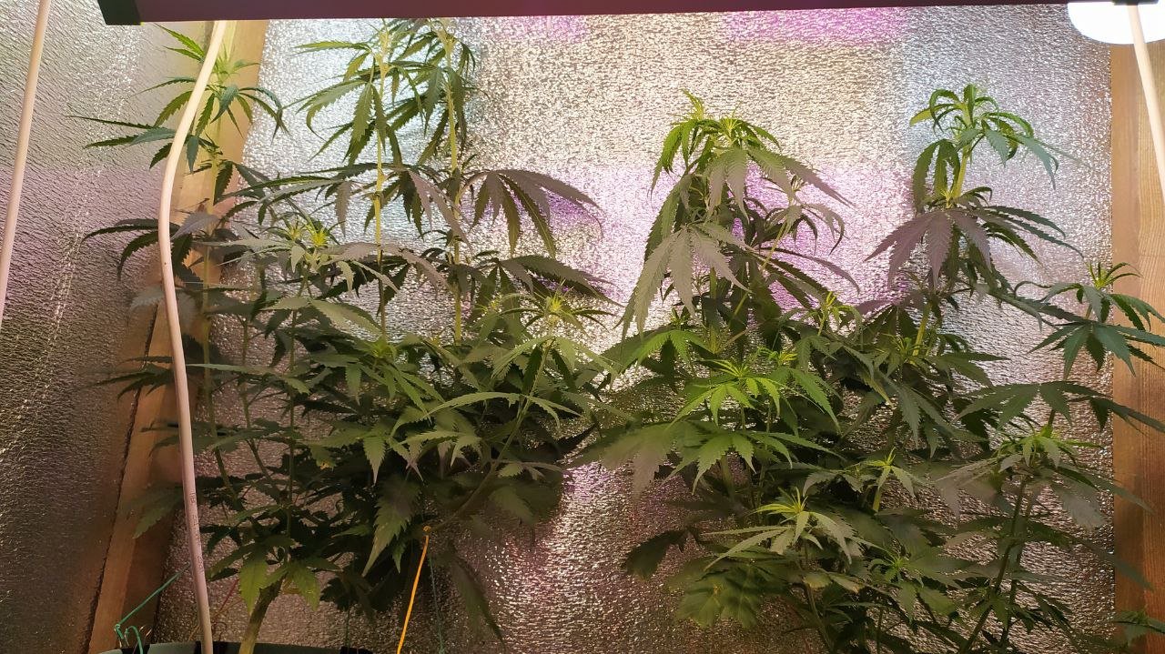 photo_2022-06-30_08-42-39 (2).jpg