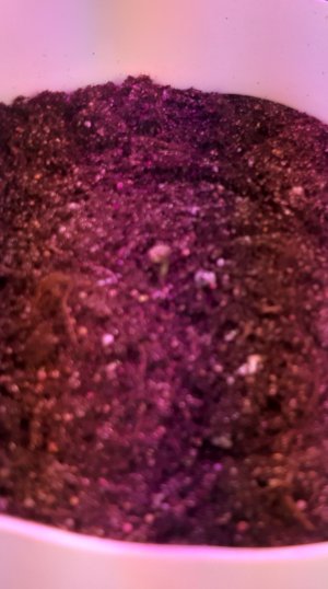 20220701_000512.jpg 20220701_000512.jpg