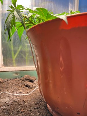 8AF44FEC-A60E-4849-B2DF-1DB89A8BAAFE.jpeg 8AF44FEC-A60E-4849-B2DF-1DB89A8BAAFE.jpeg