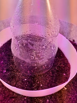 20220701_111037.jpg 20220701_111037.jpg