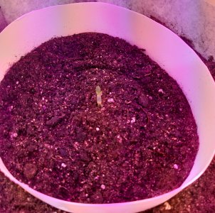 20220701_111026.jpg 20220701_111026.jpg