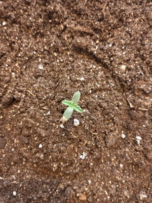 20220701_111001.jpg 20220701_111001.jpg