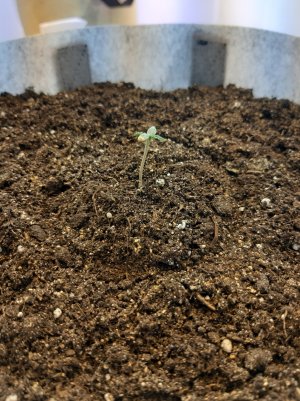 20220701_111013.jpg 20220701_111013.jpg