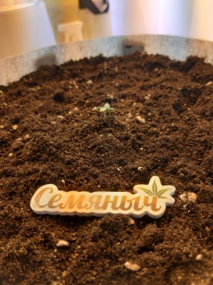 20220701_110949.jpg 20220701_110949.jpg