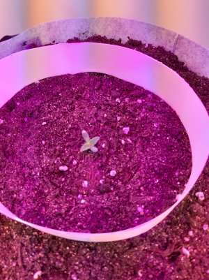 20220701_122801.jpg 20220701_122801.jpg