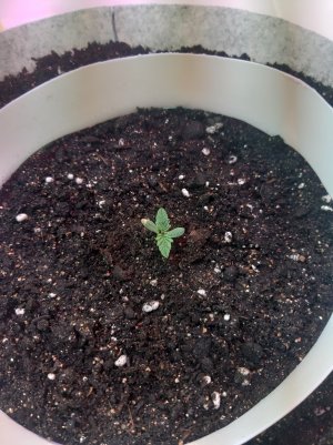 20220701_122813.jpg 20220701_122813.jpg